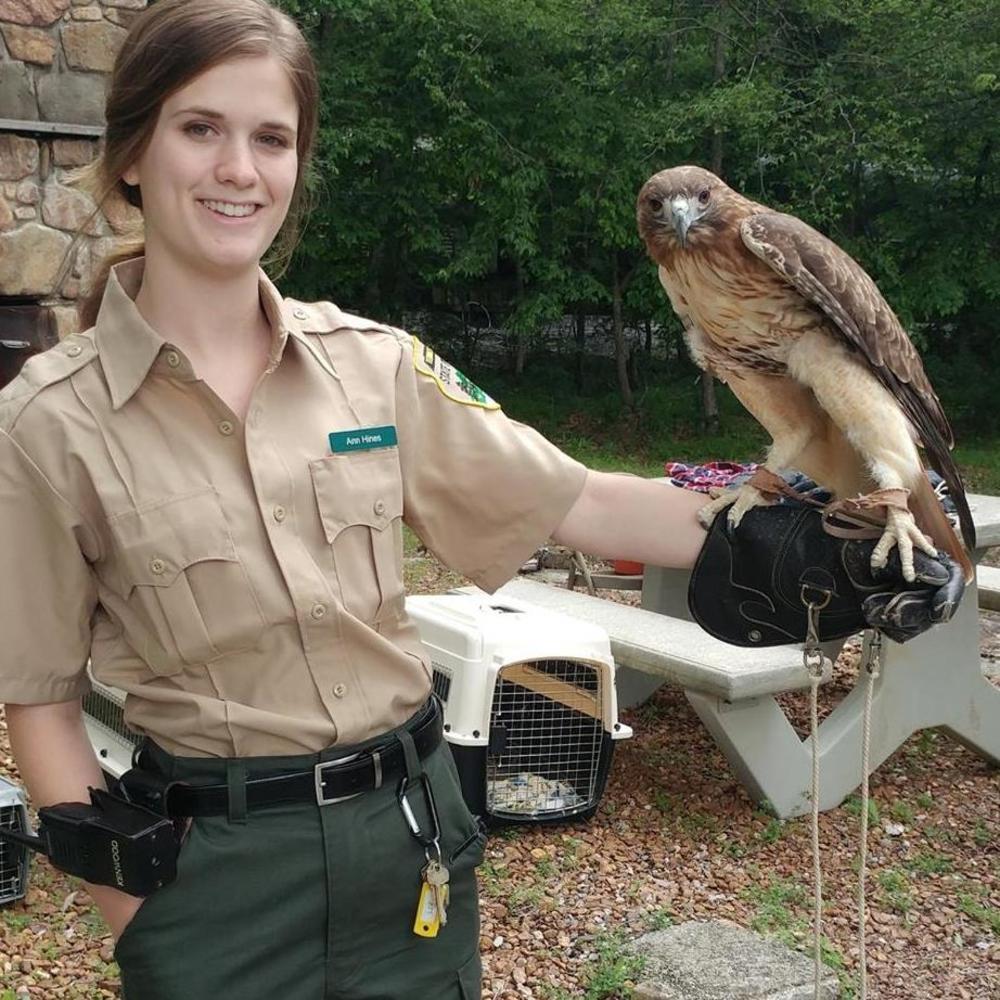 Meet your Posher, Anne